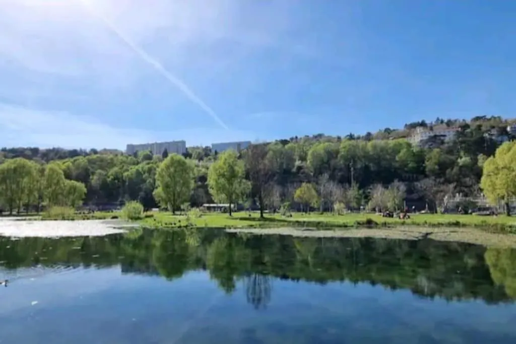 Appartement Dans Peniche Atypique Et Idyllique A Confluence Lyon 0*,  France
